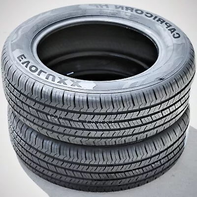 2 Tires 215/60R15 Evoluxx Capricorn HP AS A/S Performance 94H • $154.99