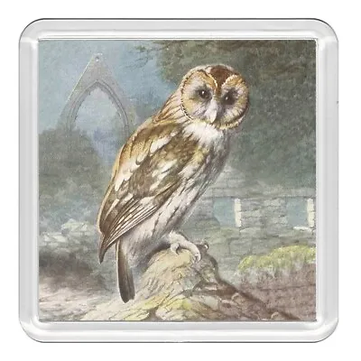 £2.99 • Buy Bird Brown Owl Lovely Acrylic Coaster Novelty Drink Cup Mat Great Gift