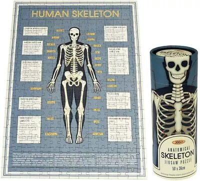 300 Piece Jigsaw Puzzle In A Tube Anatomy / Dogs / Periodic Table / Solar Sytem • £14.49