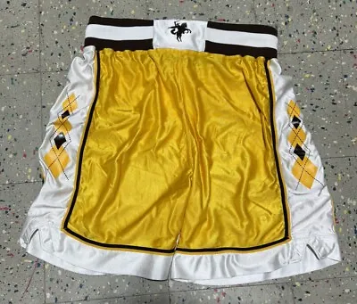 Vintage 90s WMU Western Michigan Broncos DeLong Authentic Basketball Shorts 34 • $40