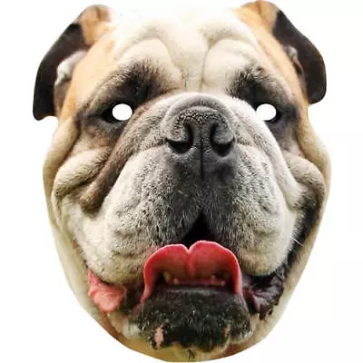 British Bulldog Animal Celebrity Card Face Mask - Ready To Wear - Fancy Dress • £1.45