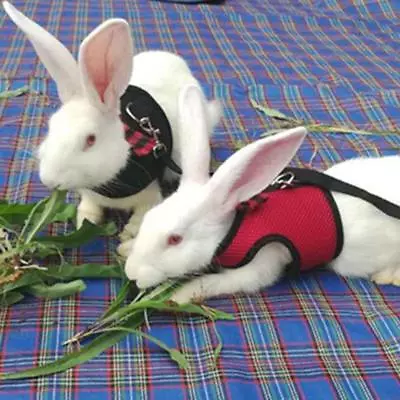 £4.44 • Buy Vest Small Pet Harness And Leash Rabbit Ferret Cat Guinea Pig Rat FI