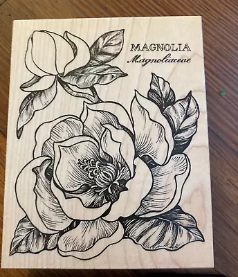 PSX K-1556 Magnolia Flower Botanical Wood Mounted Rubber Stamp 1995 • $12.99