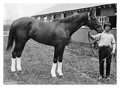 Man O War Champion Thoroughbred Race Horse 1920 5x7 Photo • $8.49