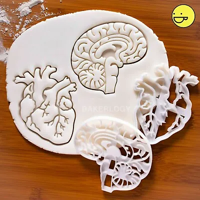 SET Of 2: Brain & Heart Anatomy Cookie Cutters |halloween Medical Macabre Cutter • £19.12