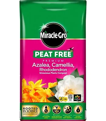 Miracle Gro Azalea Ericaceous Pot Compost Camellia Rhododendron Peat Free 10L • £8.29