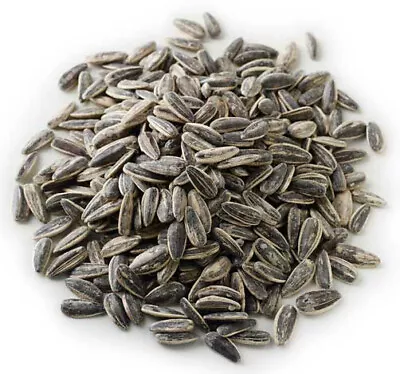 Roasted And Salted Sunflower Seeds In With Shell 1kg 2kg 5kg Bulk Sun Flower UK • £24.99