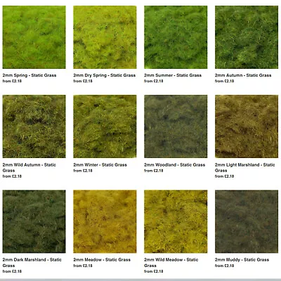 £2.24 • Buy 2/4/6mm Static Grass 10g - PGS - Model Scenery Railway Diorama Warhammer N/OO/HO