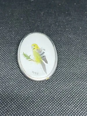 Budgie Brooch Silver Piece Antique Feathers Unusual Item 1930s Jewellery • £18