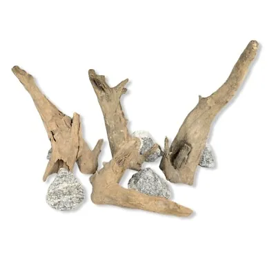 Malaysian Driftwood 8 -13  Hand Selected Natural Aquarium Wood Aquascape Decor  • $12.99