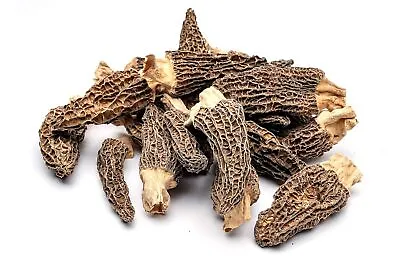 Selected Dried Morel Mushrooms ( Morchella Conica ) • $14