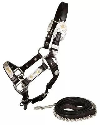 New Showman Leather Silver Show Halter W Matching Lead MINI Minatare Horse 1216M • $49.94