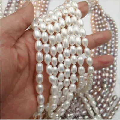 Wholesale Natural Freshwater Pearl Loose Beads White Pearl Making DIY Necklace • £17.58
