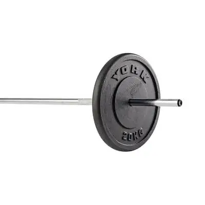 York 1  Cast Iron Weight Plates For Standard 1 Inch Barbells &  Dumbbell Bars • £25.99