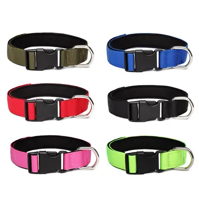 Dog Collar Nylon Puppy & Adult Adjustable 4 Colours UK Seller • £4.39