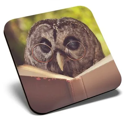 £3.99 • Buy Square Single Coaster  - Wise Barn Owl Reading Book Lover  #46462