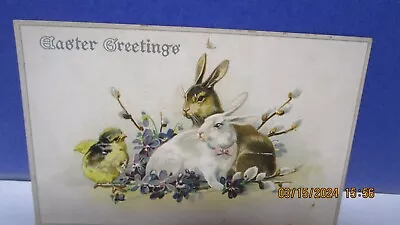 Vintage Embossed Easter Postcard- Bunny Rabbit W/ Colorful Eggs & Flowers C.1915 • $4.99