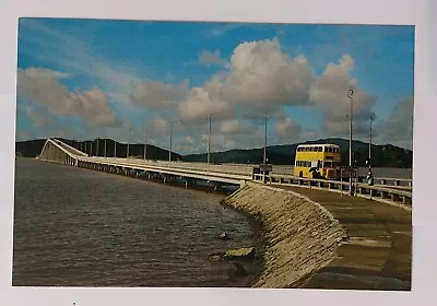 Macao Taipa Bridge Postcard • $9