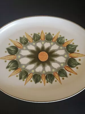 £19.99 • Buy Denby Langley Sherwood Olive Green Oval Serving Platter Plate, 13.5 X 10 Inches.
