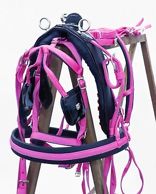 New Nylon Webbing Driving Harness Two Tone For Single Horse Black/pink Colour • £89.99