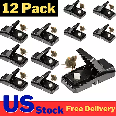 12 Pack Mouse Traps Rat Mice Killer Snap Trap Power Rodent Heavy Duty Pest Trap • $10.81