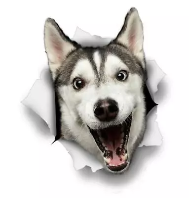£8.22 • Buy 10cm Car Sticker Siberian Husky Head Silver Rim Puppy Dog Laptop D787