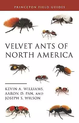Velvet Ants Of North America By Dr. Kevin Williams Paperback Book • $47.29