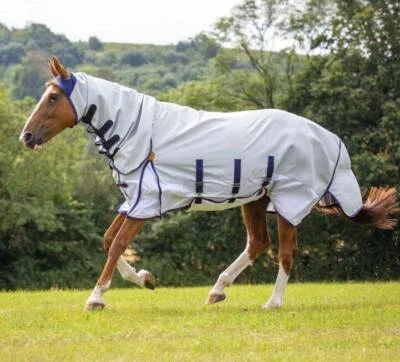 £70.04 • Buy Shires Highlander Plus Sun Shade Fly Combo