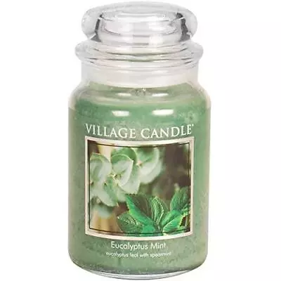 Village Candle Eucalyptus Mint Large Glass Apothecary Jar Scented Candle 21.25 • $28.69