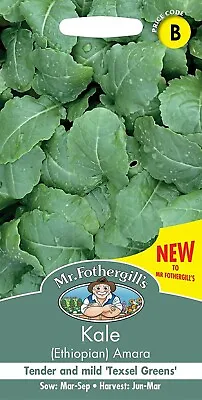 Kale Seeds Amara Ethiopian By Mr Fothergills Vegetable Seeds FREE UK DELIVERY • £2.80