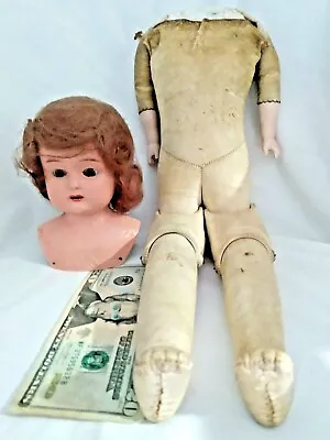 VERY RARE & VTG 21  Minerva Germany Doll Head Hair + Kid Leather Jointed Body  • $275