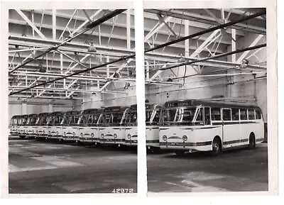 Ribble Line Of 10 Leyland Royal Tigers Bus Photograph. • £1