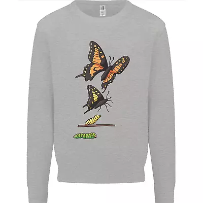 Butterfly Evolution Caterpillar Butterflies Mens Sweatshirt Jumper • $35.76