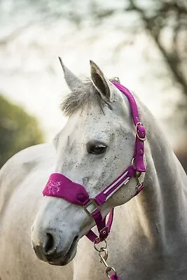 Unicorn Fleece Headcollar Lead Rope Set Size Full To Mini Shetland Clearance • £10.99