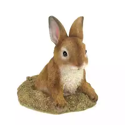 Curious Bunny Garden Decor • $21.99