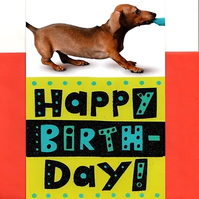 Funny Happy Birthday Dachshund Stay Home Play With Weiner Hallmark Greeting Card • $4.99