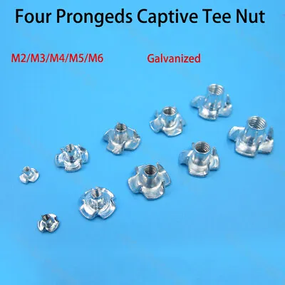 Four Prongeds Captive Tee Nut M2 M3 M4 M5 M6 T Nuts Furniture Inserts Pronged • £1.55