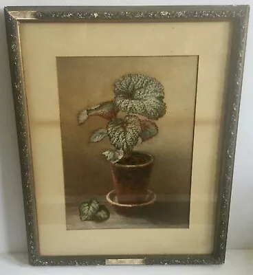 Joseph Brammer (1833-1904) Amer. MA. Original Painting Signed • $225