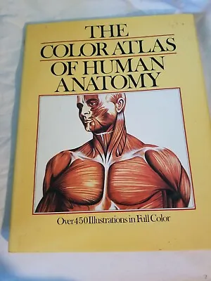 The Color Atlas Of Human Anatomy  Over 450 Illustrations Full Color Vtg • $13.81