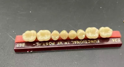 Vintage Denture Teeth Set Single Strip - T118 • $14.99