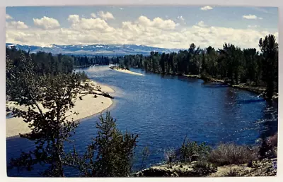 Bitterroot River Western Montana MT Vintage Chrome Postcard • $4.65