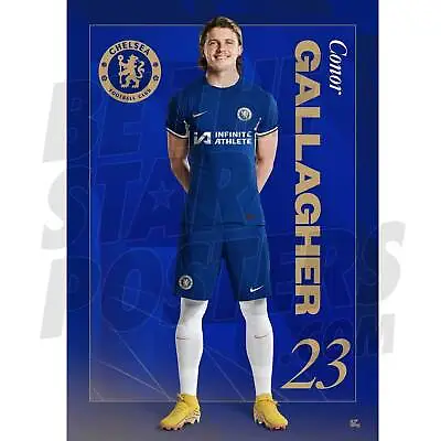 Chelsea FC Gallagher 23/24 Headshot Poster OFFICIALLY LICENSED PRODUCT A4 A3 • £6