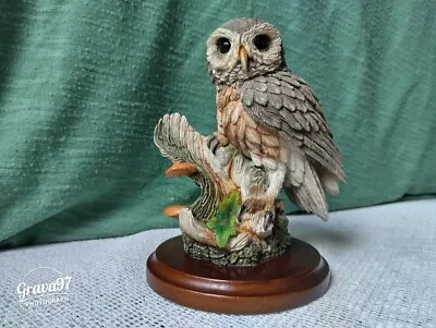 Country Artists 01586 - Little Owl In Tree Hollow Figure Bird Statue • £17