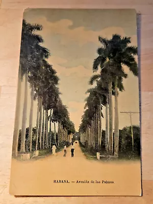 Postcard Habana Cuba Avenida De Las Palmas • $1.99