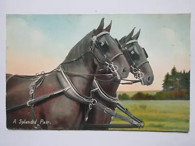  A Splendid Pair  Two Plough Horses Vintage Horse Postcard L20 • £3.99