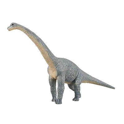 Mojo BRACHIOSAURUS DINOSAUR Model Figure Toy Jurassic Prehistoric Figurine Gift • £10.50