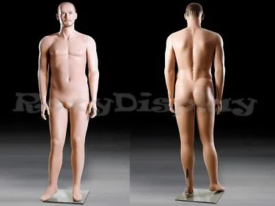 Realistic Male Mannequin With Molded Hair #MZ-MIK04 • $279