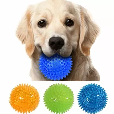 £8.50 • Buy Puppy Chew Toys Dog Toys Spikey Balls Hedgehog Ball Interactive Toys Dog Balls