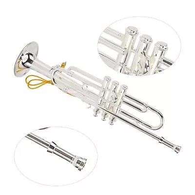 Miniature Trumpet 14cm 5.5in Silver Copper Exquisite Lifelike Mini Trumpet D BOO • $16.48