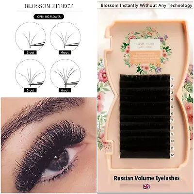 Russian Volume Lashes 3D EASY FANNING Silk Mink Individual Eyelashes Extension • £10.99